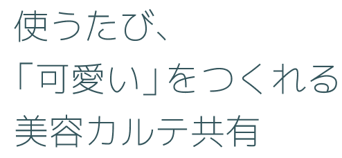 使うたび「可愛い」をつくれる美容カルテ共有